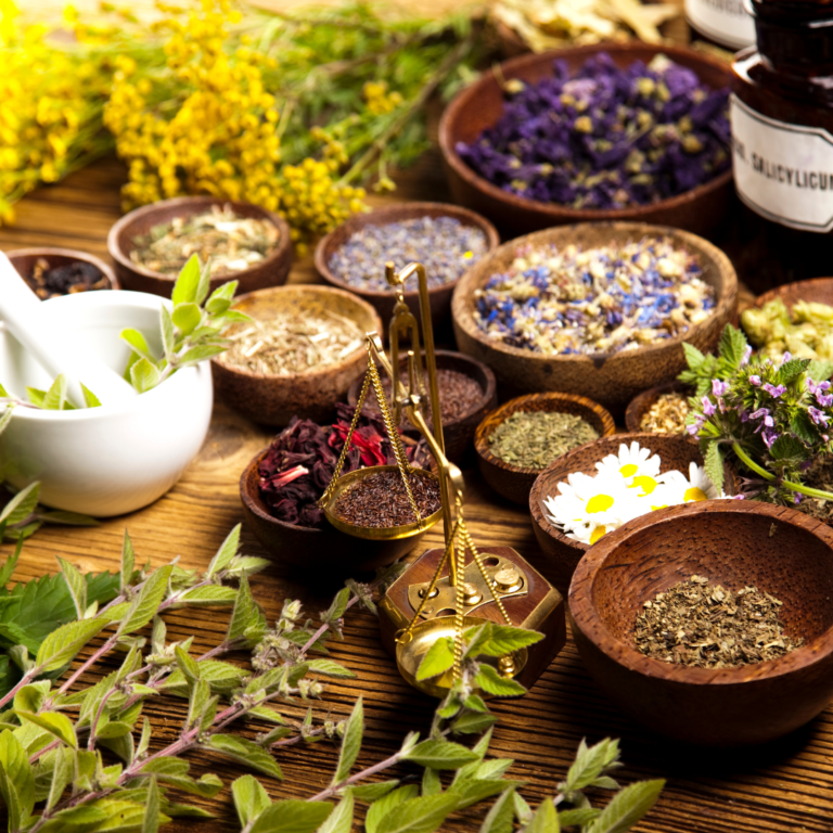 Antiviral Herbs: Top 10 to Boost Immunity & Fight Viruses